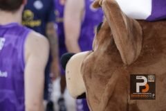 final-copa-cyl-palencia-burgos-2526-36