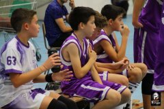 IMG_2015_resultado