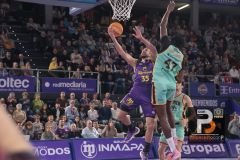 J20-PALENCIA-PALMA-2526-19