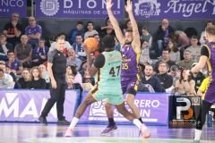 J20-PALENCIA-PALMA-2526-33