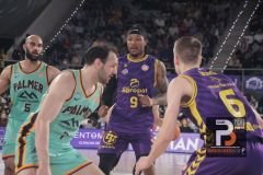 J20-PALENCIA-PALMA-2526-8