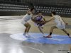MG_3284